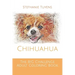 The BIG Challenge Adult Coloring Book: Chihuahua