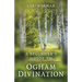 Beginner's Guide to Ogham Divination