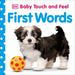 Baby Touch and Feel First Words: An Interactive Language Development Board Book