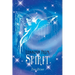 Lessons from Spirit