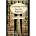 The History of the Jews in Baghdad