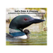 Let's Take A Journey: A Common Loon Family's Adventurous Beginning