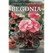A mini-guide to smart plant care: Begonia