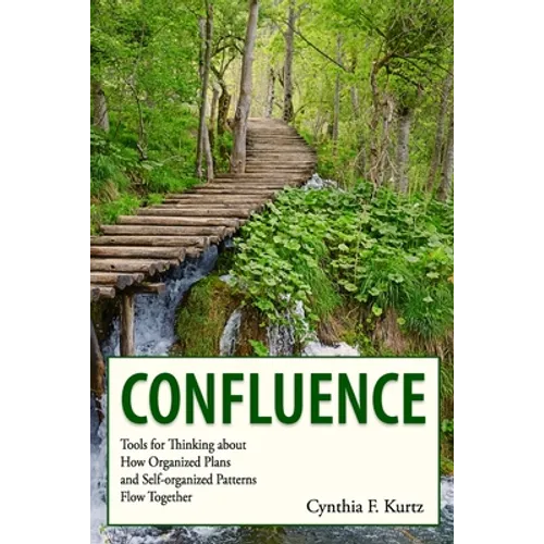 Confluence: Tools for Thinking about How Organized Plans and Self-organized Patterns Flow Together