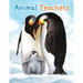Animal Teachers