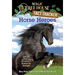 Horse Heroes: A Nonfiction Companion to Magic Tree House Merlin Mission #21: Stallion by Starlight