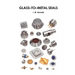 Glass-To-Metal Seals