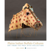 Plains Indian Buffalo Cultures: Art from the Paul Dyck Collection