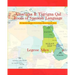 Amarigna & Tigrigna Qal Roots of Spanish Language: The Spanish Language's Not So Distant African Linguistic Roots