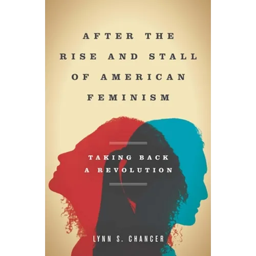 After the Rise and Stall of American Feminism: Taking Back a Revolution