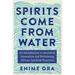 Spirits Come from Water: An Introduction to Ancestral Veneration and Reclaiming African Spiritual Practices