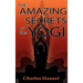 The Amazing Secrets of the Yogi