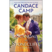 A Scandal at Stonecliffe