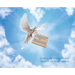 Letters to Heaven