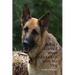 What I Learned About Leadership From My Dog