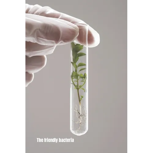 The Friendly Bacteria: A guide to the friendly flora in your gut. Introduction on how to keep you gut healthy, and recipes for bacteria-friendly foods