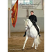 The Pure Teachings of Classical Horsemanship