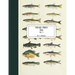 Vintage Prints: Fish: Vol. 2