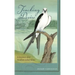 Tracking Desire: A Journey After Swallow-Tailed Kites