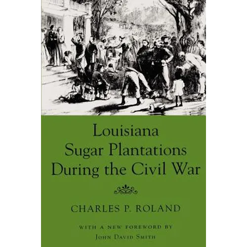 Louisiana Sugar Plantations During the Civil War
