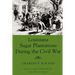 Louisiana Sugar Plantations During the Civil War