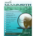 Math Mammoth Grade 2 Skills Review Workbook