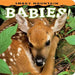 Smoky Mountain Babies!