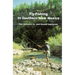 Fly-Fishing in Southern New Mexico
