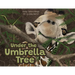 Under the Umbrella Tree
