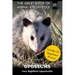 Opossums: Furry Nighttime Opportunists