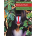 Primate Males