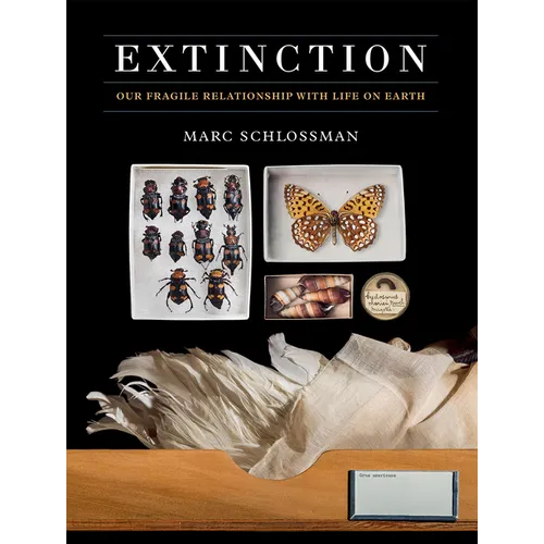 Extinction: Our Fragile Relationship with Life on Earth