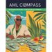AML Compass: Navigating Anti-Money Laundering in the Caribbean