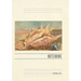 Vintage Lined Notebook Seashell Greetings from Stuart, Florida