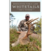 Bowhunting Public Land Whitetails