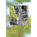 The Sequel Secret Life Of The Eastern Screech Owls: Breeding Season 2022
