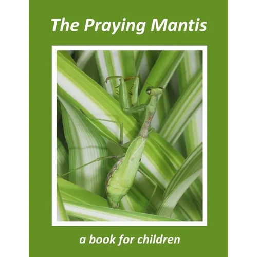 The Praying Mantis - a book for children: The tiny hunter