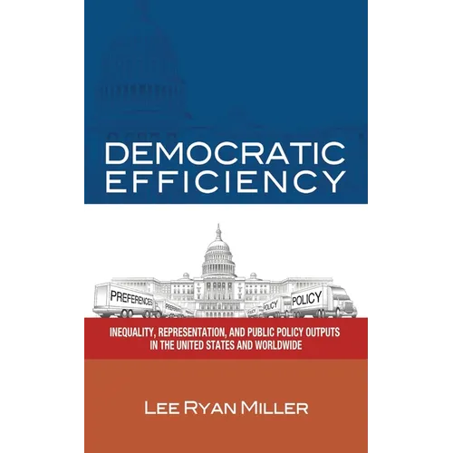 Democratic Efficiency: Inequality, Representation, and Public Policy Outputs in the United States and Worldwide