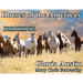 Horses of the Americas: From the prehistoric horse to modern American breeds.
