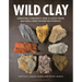 Wild Clay: Creating Ceramics and Glazes from Natural and Found Resources