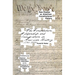 The Constitution, Citizenship, and Immigration in American History, 1790 to 2000