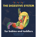 The Digestive System for Babies and Toddlers