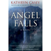 Angel Falls