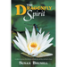 The Dragonfly Spirit: A Mother'S Journey of Learning About Death, Life, and the Road Back to Peace