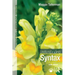 Understanding Syntax