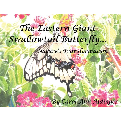 The Eastern Giant Swallowtail Butterfly: Nature's Transformation