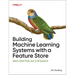 Building Machine Learning Systems with a Feature Store: Batch, Real-Time, and LLM Systems