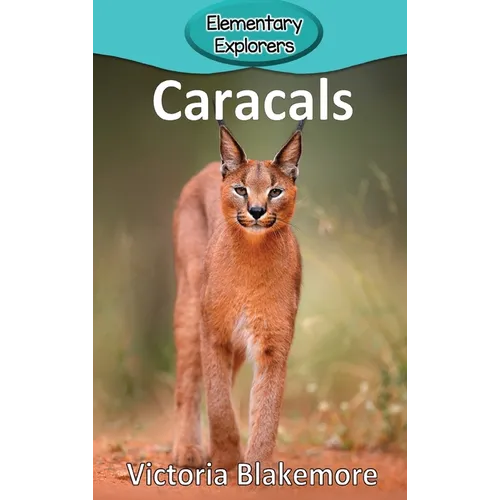 Caracals