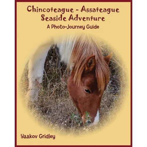 Chincoteague-Assateague Seaside Adventure: A Photo-Journey Guide