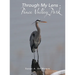 Through My Lens - Peace Valley Park